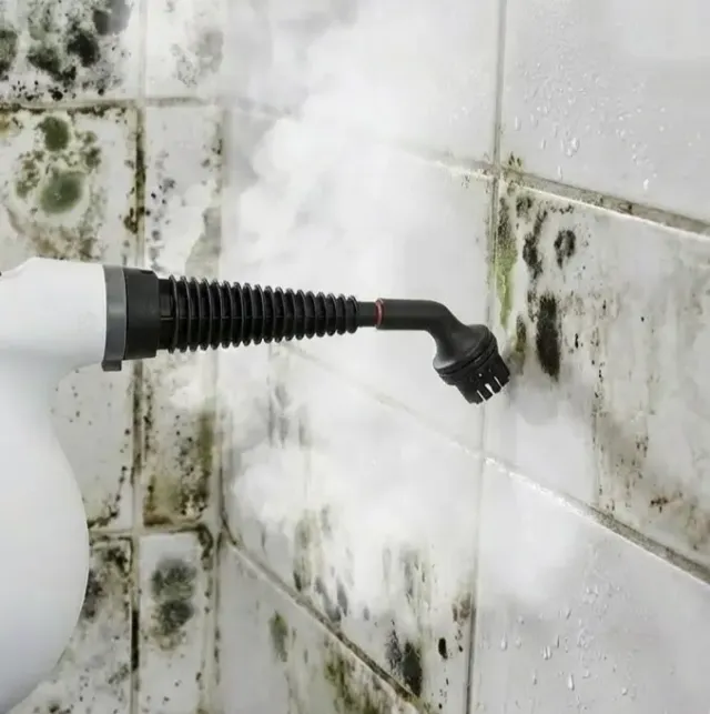 פיית הקיטור של Qinux Vapoxis מנקה עובש מאריחי מקלחת